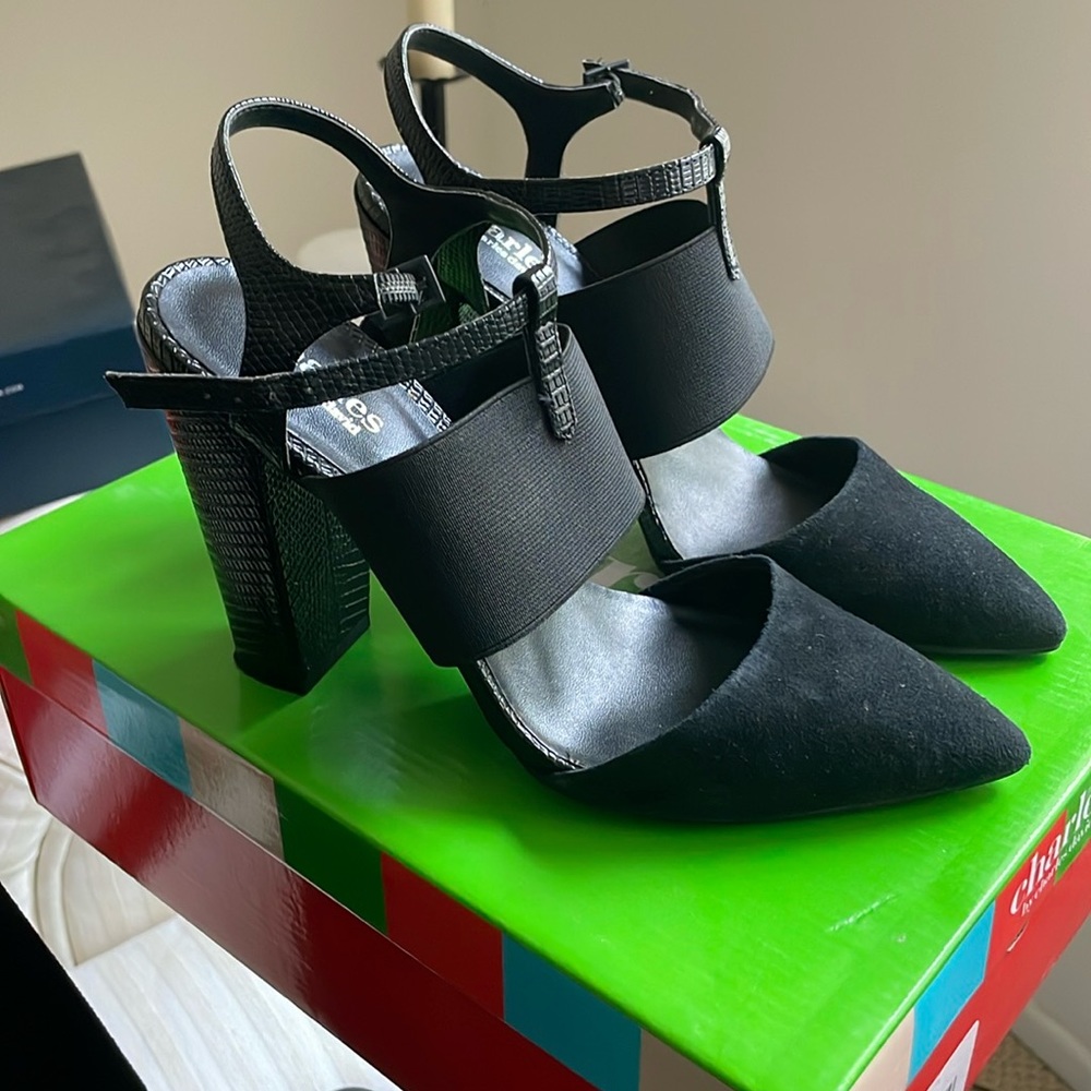 Chunky Heel Points Shoes
